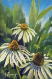 White Coneflowers