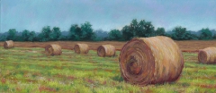 Hay Harvest