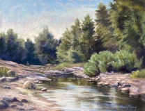 Hiking Along the Creek