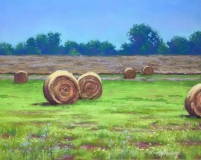 Sweet Summer Hay