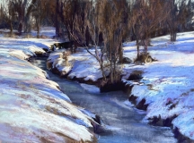 Winter Light and Shadow