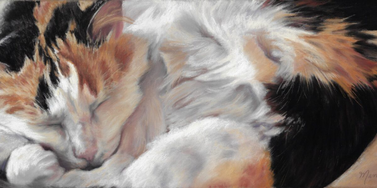 Painting Pet Portraits in Soft Pastel (5/23 & 5/24, 10AM-4PM)